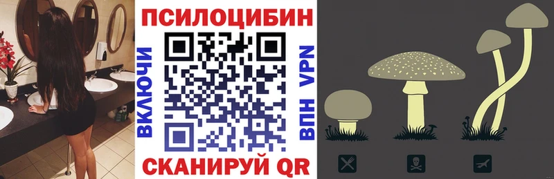 Псилоцибиновые грибы мицелий  Купить где  Артёмовск 