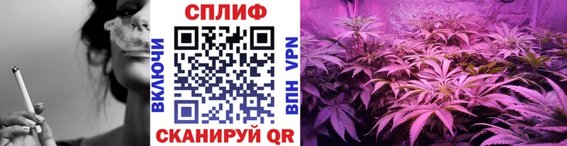 Бошки Шишки White Widow  Купить  Артёмовск 